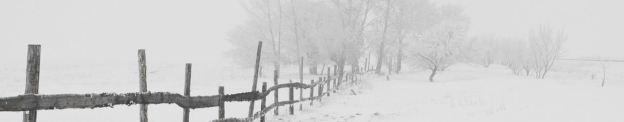 Winter – Wenig Licht und Kälte drücken aufs Gemüt